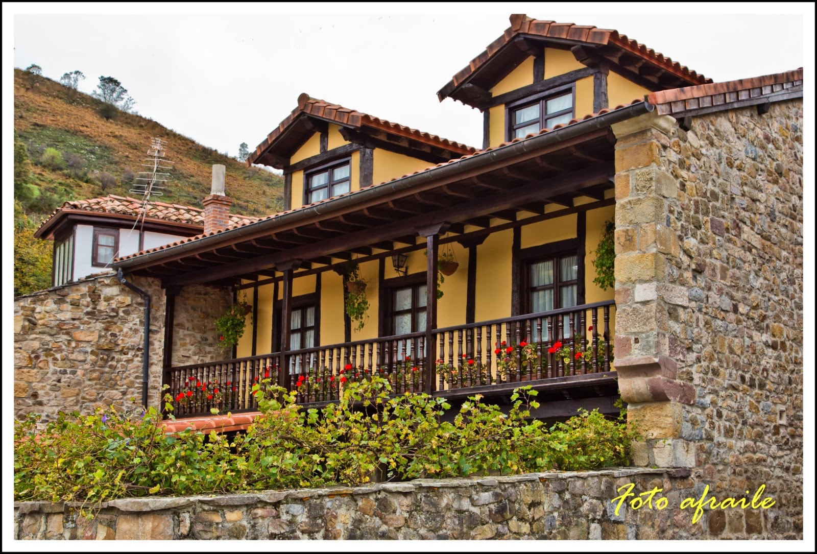 Foto afraile Pujayo (Barcena de Pie de Concha).